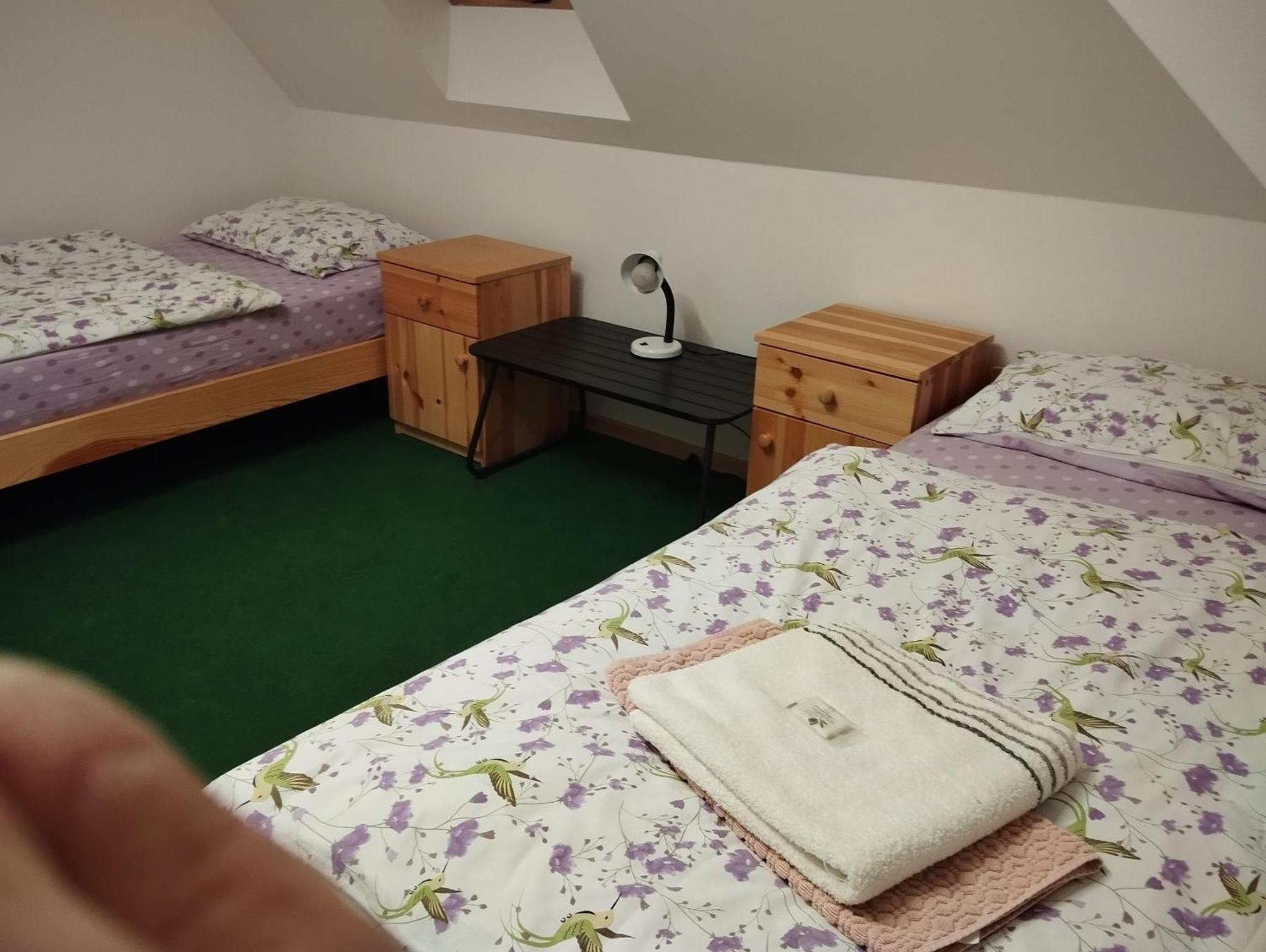 Ubytovani U Nadii Zelezny Brod Dış mekan fotoğraf